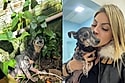 “Começa no ódio e termina no amor”: Cachorrinha mostra os dentes para protetora até descobrir o que é ser amada