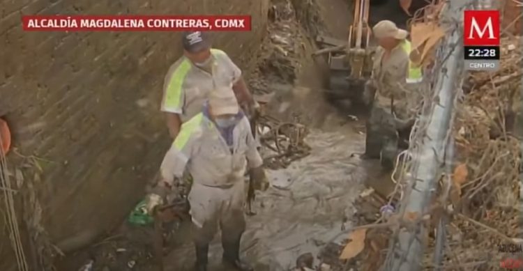 Rato gigante' é encontrado em esgoto no México - vídeo