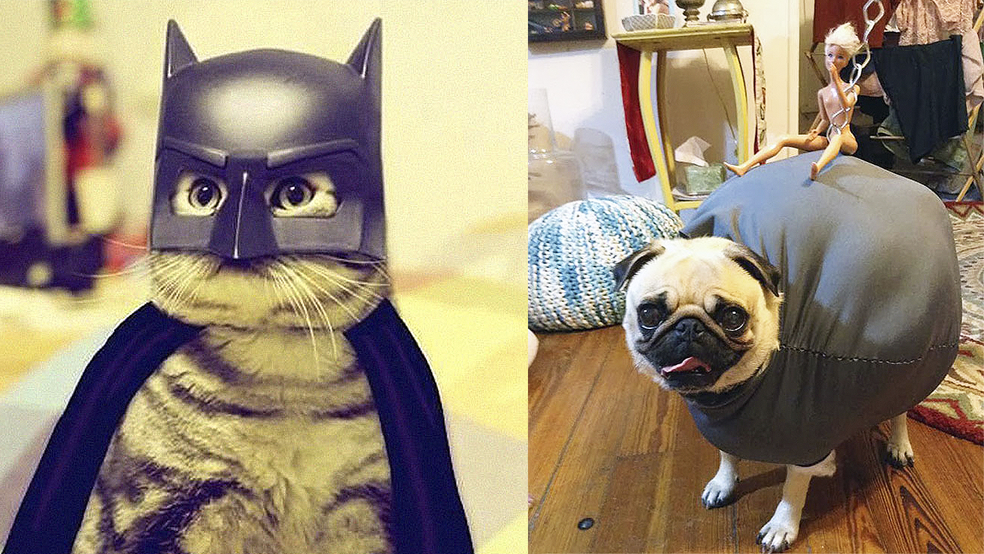 Halloween: 10 tutores e seus pets com fantasias combinando