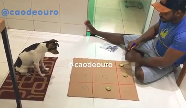 Jogo da velha (GATO e CACHORRO)