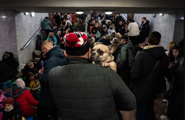 Ucranianos deixam suas casas carregando seus pets e pertences após ataque  russo