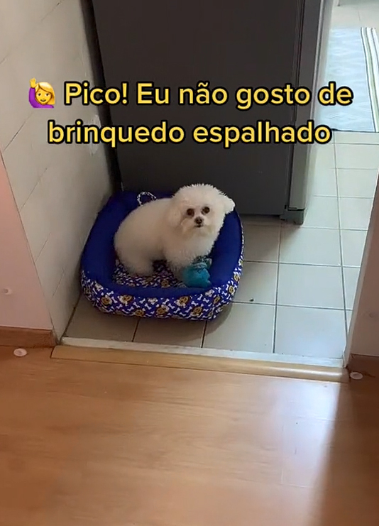 arrumando a casinha de brinquedo｜TikTok Search