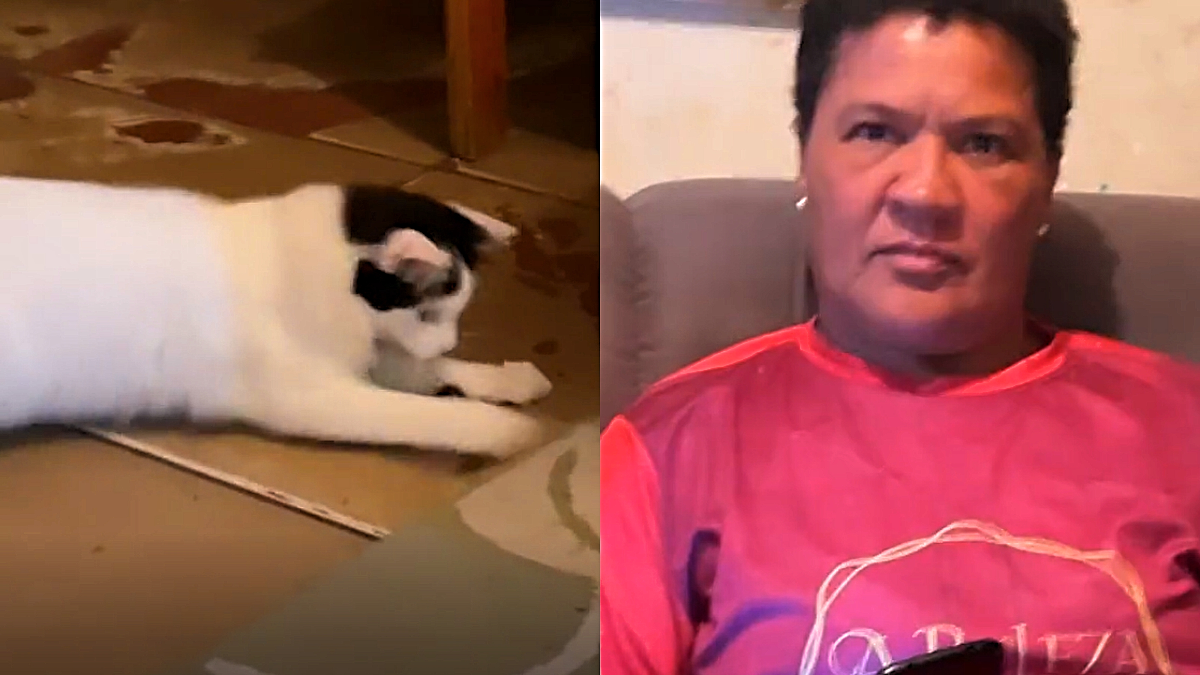 vídeos animais engraçados para rir muito｜Pesquisa do TikTok