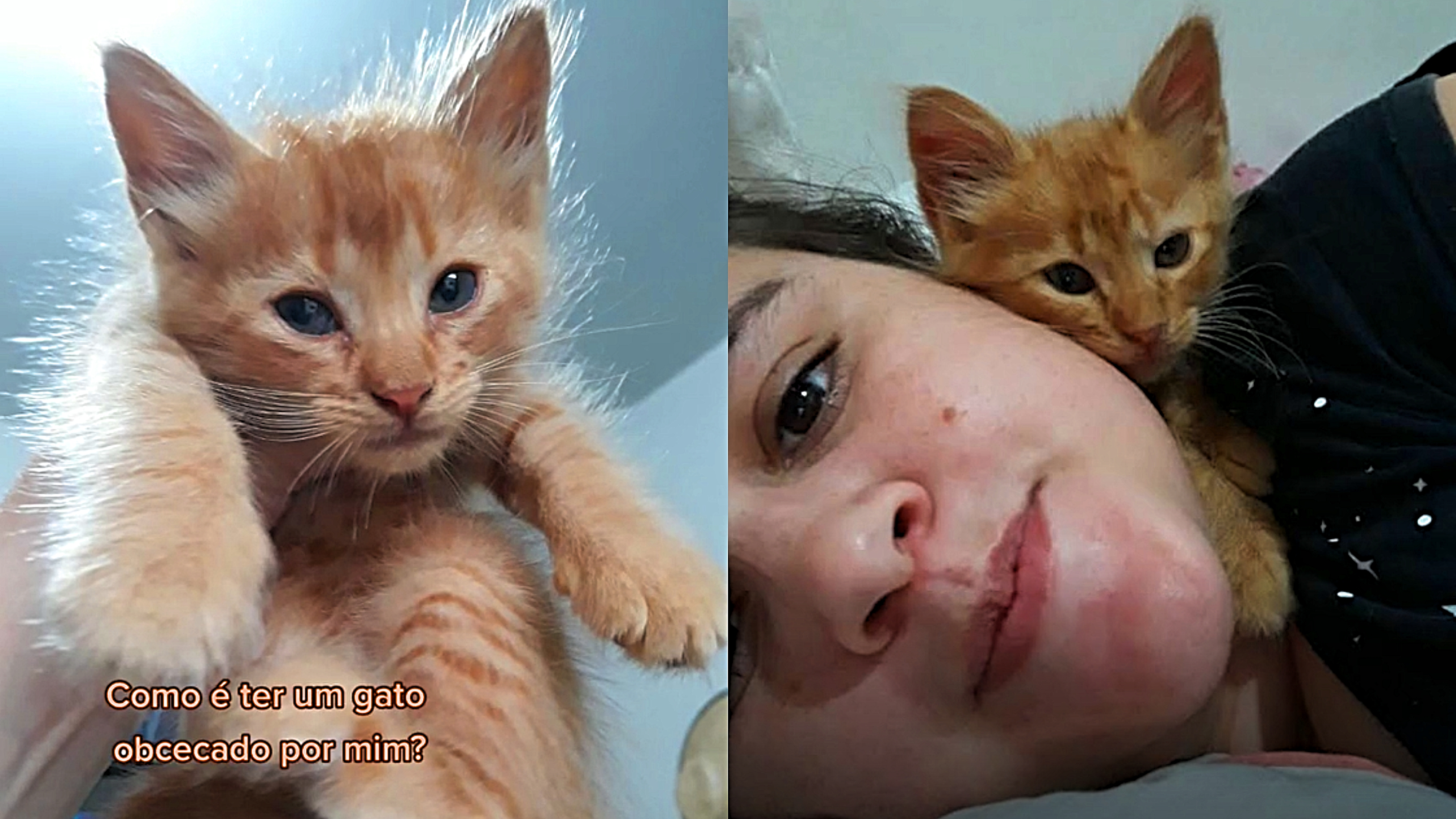 Sua vida gatinho de gente!