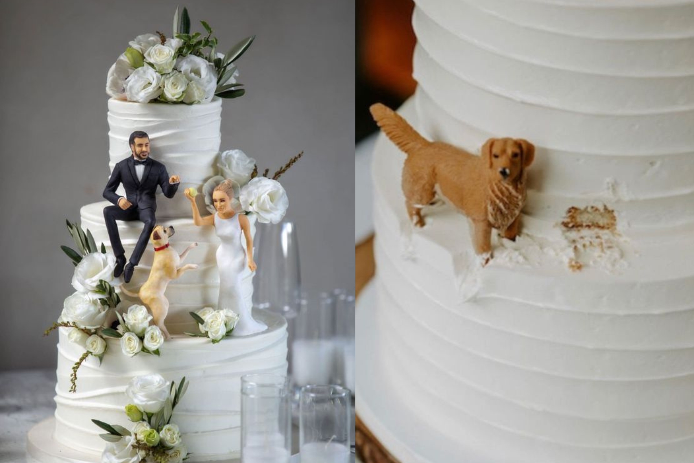Vai casar? Torne seu bolo de casamento inesquecível com estas 10 ideias de  decoração com cachorros