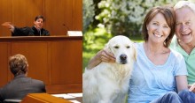 Pais de Pets agora podem solicitar pensão em caso de separação do casal