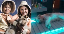 Atriz mirim fala que cachorro foi anestesiado para fazer cena de novela e dono rebate: ‘Jamais deixaria que fosse sedado’