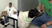 Cachorrinhos abandonados são adotados por policiais e viram xodó da delegacia <3