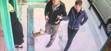 Gata de rua que só ataca homens viraliza nas redes sociais (veja o vídeo)