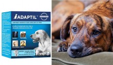 Anúncio de difusor que "acalma cães ansiosos" é proibido por ineficiência