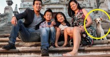 Cão de rua sai sorrindo em sessão de fotos de uma família no México