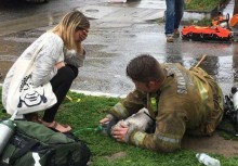 Bombeiro faz respiração boca a boca e salva vida de cão vítima de incêndio