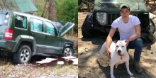 Pitbull puxa seu dono para fora de carro após acidente