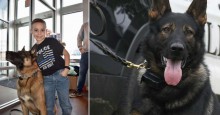 Menino arrecada $ 80.000 para comprar coletes à prova de balas para cães da polícia