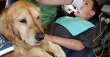 Dentista "contrata" cachorro para ajudar seus pacientes a relaxar durante procedimentos