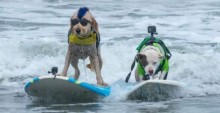 Cachorros participam de campeonato mundial de surf e os vídeos são muito ITI MALIAS