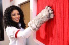 Exposição na Casa do Gato em SP convida humanos a se sentirem na pele dos felinos