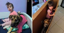 Cão que fugiu de casa por causa de maus tratos transforma vida de menina autista após ser adotado