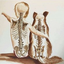 Por que os cães vivem menos que as pessoas? A lição do cachorro