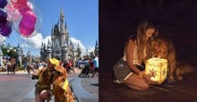 Cão de serviço visita Disney com sua dona e faz ensaio de fotos super fofo