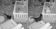 Câmera escondida 'flagra' gato e bebê tendo uma conversa super fofa