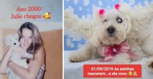 Dona faz linda homenagem para cachorrinha falecida que a acompanhou por 19 anos