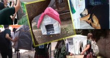 Estudantes se unem para fabricar casinhas para os animais de rua (veja o vídeo)
