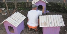 Presidiários montam casinhas para cães de famílias carentes e ONGs de Encantado (RS)
