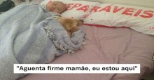 Cachorrinha se recusa a sair de perto de sua dona com câncer: 'Minha companheira'