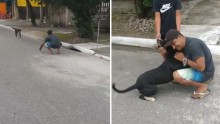 Em Praia Grande, homem tem reencontro emocionante com seu cão (veja o vídeo)