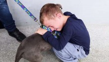 Menino de 7 anos desesperado com roubo de seu cão, o reencontra com ajuda de policiais do PR