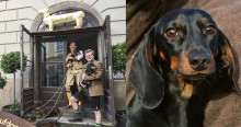 Museu alemão dedicado à raça dachshund recebe 3.500 itens de doador belga