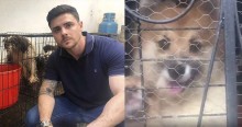 Delegado Bruno Lima resgata 30 cães abandonados e famintos em 'casa do terror' (veja o vídeo)