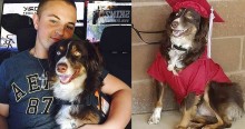 Cão treinado que salvou adolescente de depressão e suicídio, é homenageado em sua formatura