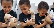 Menino encontra cachorrinho Chihuahua e começa a chorar: 'Ela é linda demais' (veja o vídeo)
