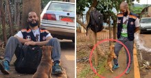 Cão danado não dá trégua para socorrista de MG: ‘5 horas tentando cruzar na minha perna’