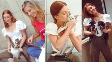 Projeto pró-animais de Luisa Mell conta com apoio da atriz Marina Ruy Barbosa (veja o vídeo)
