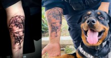 Cachorro rottweiler K9 salva vida de guarda e homem tatua rosto do animal em agradecimento
