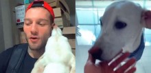 Lucas Lucco adota cachorro que encontrou abandonado na rua durante a quarentena; veja o vídeo