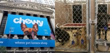 Rede varejista Chewy faz doação milionária para abrigos de proteção animal dos EUA