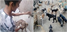 Cuidando de 90 cães, homem enfrenta dificuldades de alimentá-los durante quarentena