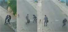 Ao perceber que vizinho está sendo assaltado, cachorro avança e faz com que o suspeito desista e fuja; vídeo