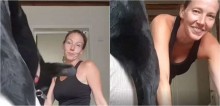 Vídeo: Sessão de yoga é interrompida por cão labrador e seu travesseiro e instrutora fica sem graça
