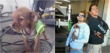 Eletricista e colega de oficina adotam filhote de cachorro abandonado dentro de sacola de lixo