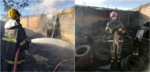 Corpo de Bombeiros salva vida de cadelinha encurralada por incêndio em borracharia em Minas Gerais