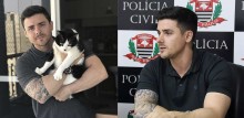 Delegado Bruno Lima abre inquérito para investigar perfil que divulga vídeos de maus-tratos contra gatos