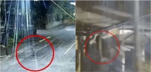 Vídeo: Cachorro de rua ajuda polícia a prender ladrão de mercearia e vira herói