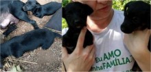 Cadelas abandonadas que nasceram sem as 4 patas no RS, são resgatadas e aguardam adoção