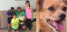 Depois de 6 anos desaparecido, cachorro reaparece com melhor amigo que ele fez nas ruas