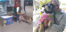 Homem improvisa casa de papelão para proteger cadela de rua do frio, a veste com roupinha e comove internautas